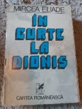 In curte la Dionis