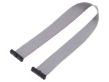 Cablu panglică SAMTEC IDC 279,4mm FFSD-13-D-11.00-01-N cu conectori IDC ambele părți