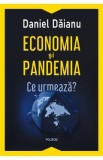 Economia si pandemia. Ce urmeaza? - Daniel Daianu
