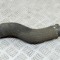 Furtun intercooler DODGE STEALTH 1992 13878183