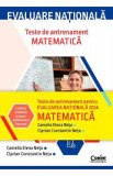 Evaluare Nationala 2024. Matematica. Teste de antrenament - Camelia Elena Neta, Ciprian Constantin Neta