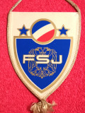 Fanion fotbal - ASOCIATIA de FOTBAL din IUGOSLAVIA
