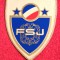 Fanion fotbal - ASOCIATIA de FOTBAL din IUGOSLAVIA