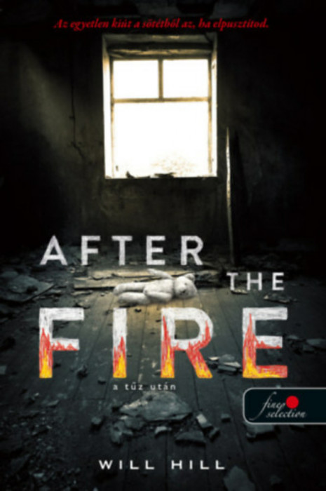 After the Fire - A t&Aring;&plusmn;z ut&Atilde;&iexcl;n - Will Hill