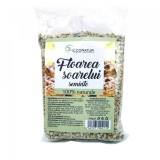 SEMINTE FLOAREA SOARELUI 250GR