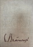 Album Arta Constantin Brancusi, Autor Petre Oprea, 1976, 100 pagini, 24x30 cm, Coperti cartonate, Limba romana