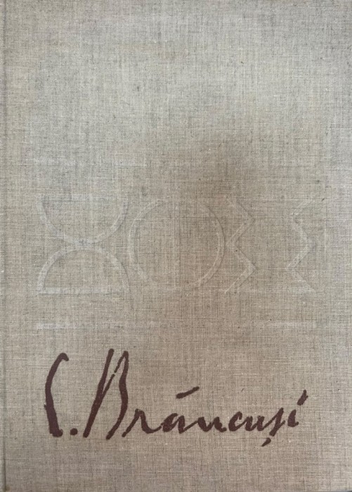 Petre Oprea - C. Brancusi