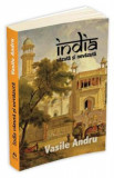 India vazuta si nevazuta - Vasile Andru