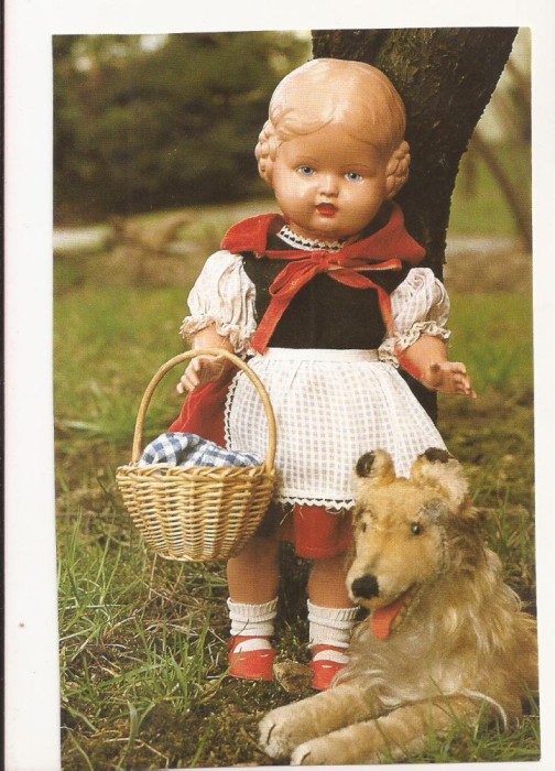 TD4 -Carte Postala- GERMANIA - Schildkrotpuppe Barbel un 1940/50, necirculata