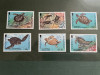 Cayman - serie timbre animale fauna nestampilata MNH, Nestampilat