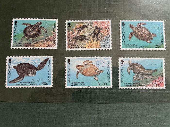 cayman - serie timbre animale fauna nestampilata MNH