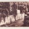 bnk cp Baile Herculane - Cerna - circulata 18 ianuarie 1952