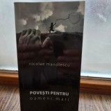 Povesti pentru oameni mari - Nicolae Manolescu