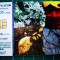 Cartela telefonica Romtelecom 10 lei Anotimpuri vegetatie puzzle 9KHOU7 100.000 unitati expira 01.01.2009 Calendar 2007
