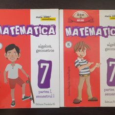 MATE 2000 CONSOLIDARE ALGEBRA GEOMETRIE CLASA A VII-A - Negrila (2 volume)