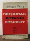 Dicționar botanic poliglot (latină, rom&acirc;nă, engleză, rusă...) - Coloman Vaczy