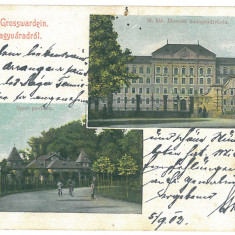 3556 - ORADEA, Litho, Romania - old postcard - used - 1902