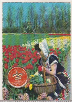 bnk cp Olanda - Femeie in costum popular - necirculata foto