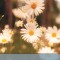 Poems (Esprios Classics)