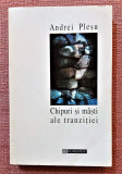 Chipuri si masti ale tranzitiei. Editura Humanitas, 1996 - Andrei Plesu