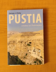 Derwas J. Chitty - Pustia. Cetatea lui Dumnezeu foto