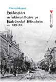 Intamplari neintamplatoare pe Bulevardul Elisabeta sec. XIX-XX - Vremea