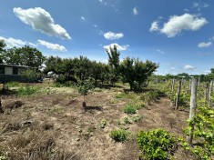 De vanzare teren Valea Rosie