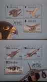 BC1, Gibraltar 1999, 2 blocuri aviatie, pasari