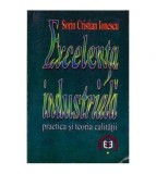 Sorin Cristian Ionescu - Excelenta industriala - Practica si teoria
