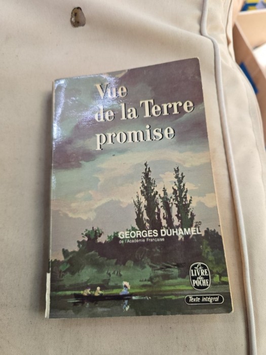 Vue de la Terre promise - Georges Duhamel
