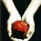 Fascination - Stephenie Meyer