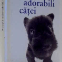 ACESTI ADORABILI CATEI , 2004