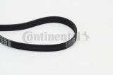 CONTINENTAL CTAM 6PK1660 Curea transmisie cu caneluri