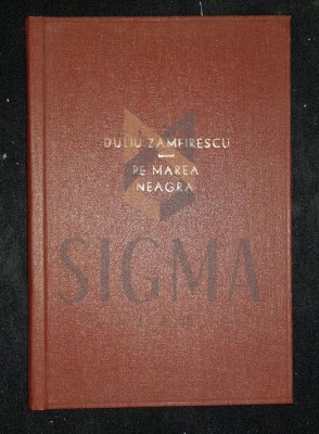 ZAMFIRESCU DUILIU foto