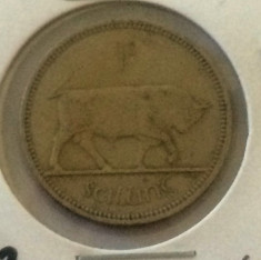 4219 Irlanda 1 shilling 1962 foto