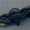 AX 931 INSIGNA -AVIATIE -PARASUTISM -,,RIGGER&quot; -PT COLECTIONARI
