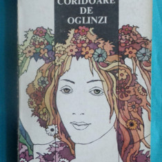 Ana Blandiana – Coridoare de oglinzi ( prima editie )