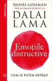 Emoții Distructive Daniel Goleman Carte Brosata Dezvoltare Personala Curtea Veche