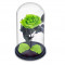 Trandafir Criogenat verde deschis &Oslash;6,5cm in cupola de sticla