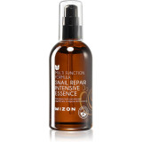 Mizon Multi Function Formula Snail Regenerarea esenței pielii 100 ml