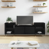 Comoda TV, negru, 160x35x55 cm, lemn prelucrat GartenMobel Dekor, vidaXL