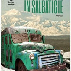 In salbaticie - Jon Krakauer