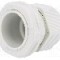 Presetupa poliamida, PG21, IP68, KSS WIRING - EG-21GY1