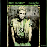 VINIL Bruce Cockburn &lrm;&ndash; Stealing Fire - VG+ -