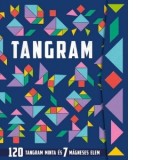 Elemente de didactica domeniului Stiinte