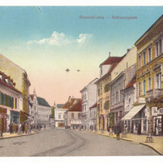 2447 - SIBIU, Shop's street, Romania - old postcard - unused - 1915