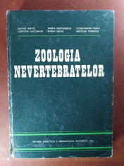 ZOOLOGIA NEVERTEBRATELOR - ZACHIU MATIC &amp;amp; COLAB foto