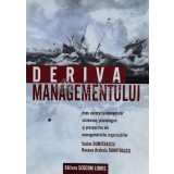 DERIVA MANAGEMENTULUI - Vadim Dumitrascu (@B189)