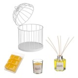 Set Citronella cu Ulei Parfumat Lumanare si Wax Melts in Colivie Alba 13x20 cm