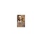 Theodore Roosevelt (Re-Issue) P